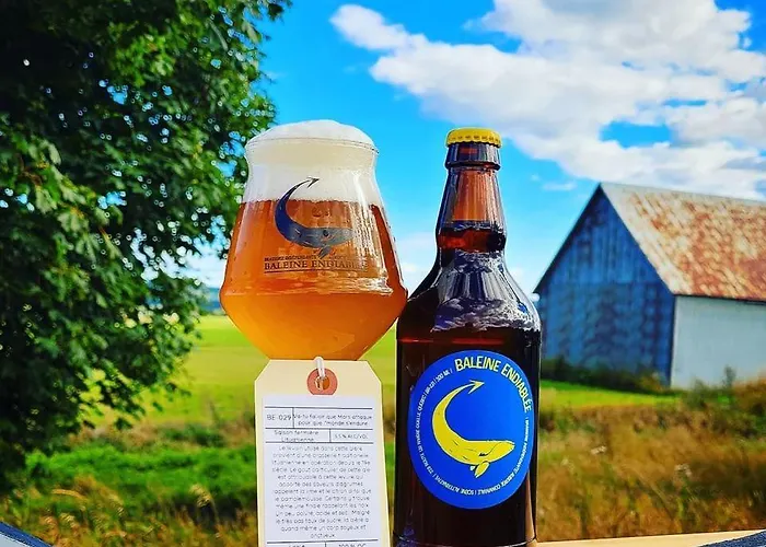 La Baleine Endiablee Microbrasserie
