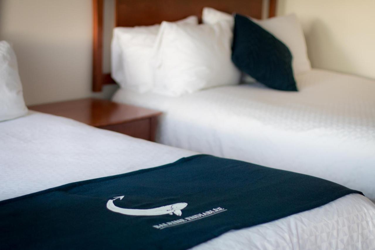 Hotel La Baleine Endiablee Microbrasserie 3*